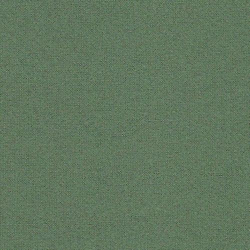 Sage Own Skin Double Brushed Poly Lycra Jersey Knit Fabric