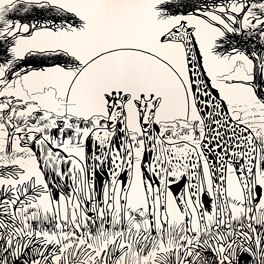 Animal Print Fabric Collection