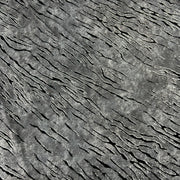 Grey fabric with slate like pattern, textured with flocked zebra stripes which are outlined in glitter