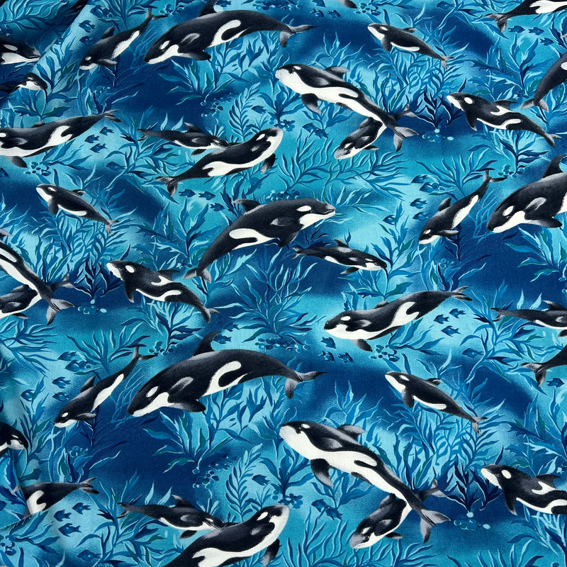 Killer Whale by Hoffman International Fabrics | 100% Cotton Quilting Fabric