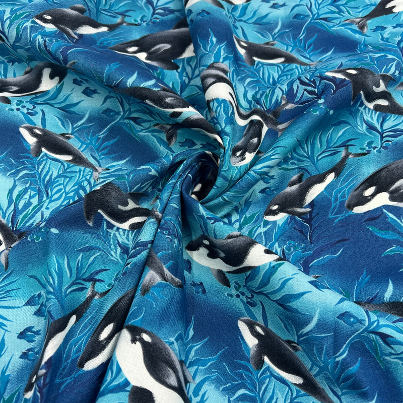 Killer Whale by Hoffman International Fabrics | 100% Cotton Quilting Fabric