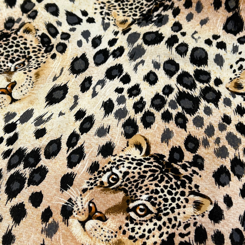 Leopards by Timeless Treasures | 100% Cotton Quilting Fabric