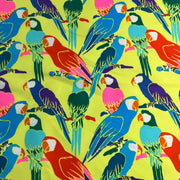 Colorful parrot pattern on a yellow background