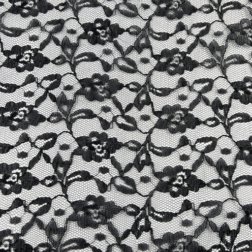 Black floral lace pattern on a white background