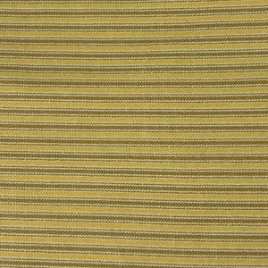 Sungold Ticking Stripe Canvas | SKU 7734 #S170