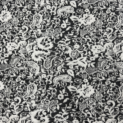 Black and white damask fabric with an intricate floral and paisley pattern.