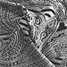 Silver/Black Paisley #S Velvet Burnout Jersey Knit Fabric - SKU 6688