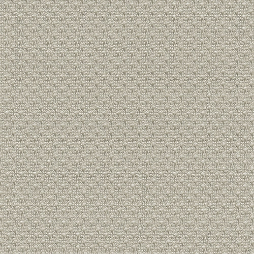 Grey Micro Mesh (A) Knit Fabric