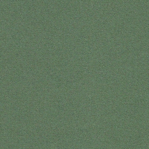 Sage Own Skin Double Brushed Poly Lycra Jersey Knit Fabric