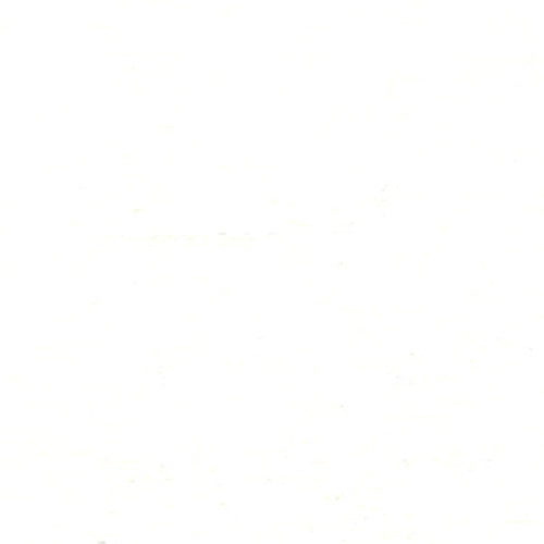 Ivory Interlock (A) Knit Fabric