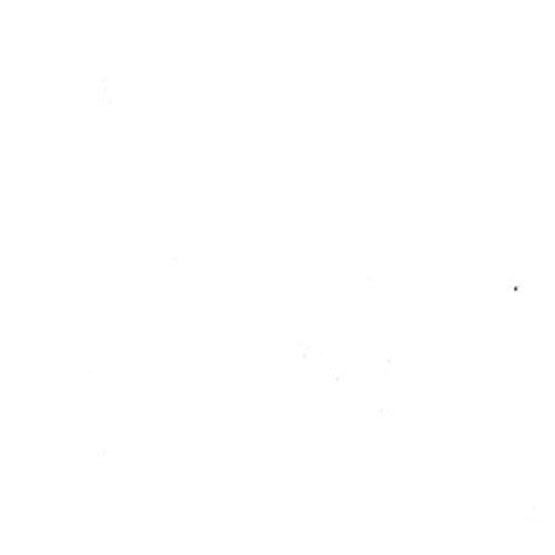 Ivory Interlock (B) Knit Fabric